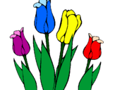 Desenho Tulipa pintado por maira =)