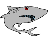 Desenho Tubarão pintado por tubarao do mauricio