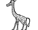 Desenho Girafa pintado por pedro e titia