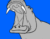 Desenho Hipopótamo com a boca aberta pintado por pamela coronel