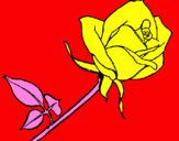 Desenho Rosa pintado por LARA - INFANTIL II
