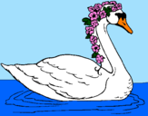 Desenho Cisne com flores pintado por maria fer