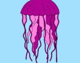Desenho Medusa pintado por Pepe