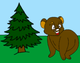 Desenho Urso e abeto pintado por bruninhu 3 anos