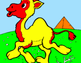 Desenho Camelo pintado por maria fernanda