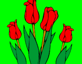 Desenho Tulipa pintado por titiia