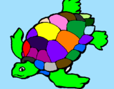 Desenho Tartaruga pintado por diogo