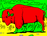 Desenho Búfalo pintado por icaro