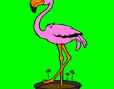 Desenho Flamingo com os pés de molho pintado por VINICIUS
