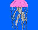 Desenho Medusa pintado por Diogo