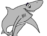 Desenho Tiburão alegre pintado por anónimo