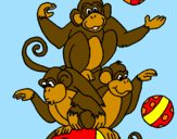 Desenho Macacos a fazer malabarismos pintado por pipinho