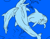 Desenho Golfinhos a brincar pintado por ana beatriz  golfinho