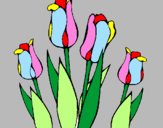 Desenho Tulipa pintado por vieira