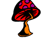 Desenho Cogumelo pintado por sarla