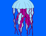 Desenho Medusa pintado por GABRIEL A.SOUZA