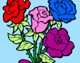 Desenho Ramo de rosas pintado por Beatriz P. Novais