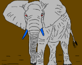 Desenho Elefante pintado por JAVIER saez     4