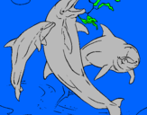 Desenho Golfinhos a brincar pintado por catarina