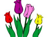 Desenho Tulipa pintado por adriana soares silva