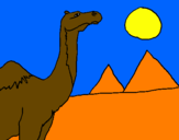 Desenho Camelo pintado por hugo mendes