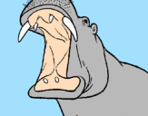 Desenho Hipopótamo com a boca aberta pintado por fabio vitor