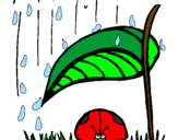 Desenho Joaninha protegida da chuva pintado por João Vítor