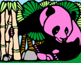 Desenho Urso panda e bambu pintado por Gabriel Salles