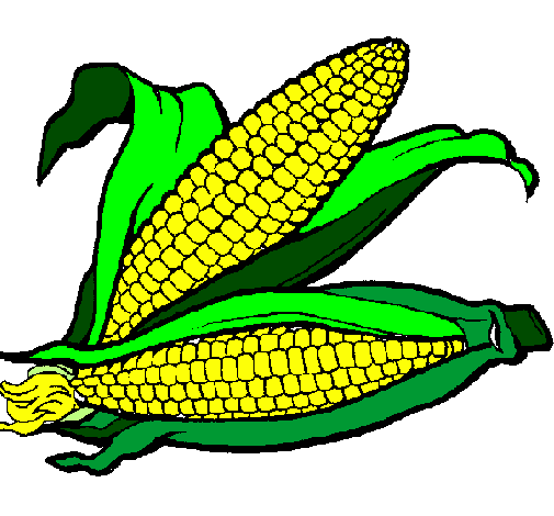 Desenho Espiga de milho  pintado por espiga de milho