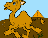 Desenho Camelo pintado por gabriela