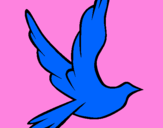 Desenho Pomba da paz a voar pintado por Leticia