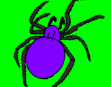 Desenho Aranha venenosa pintado por marco  antponio.