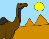Desenho Camelo pintado por josh