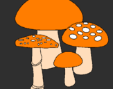 Desenho Cogumelos pintado por sandra