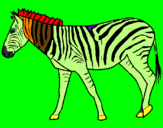 Desenho Zebra pintado por cio5a
