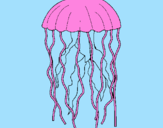 Desenho Medusa pintado por lucas