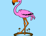 Desenho Flamingo com os pés de molho pintado por VINICIUS