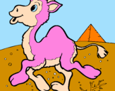 Desenho Camelo pintado por ariel