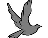 Desenho Pomba da paz a voar pintado por CORDEQUI