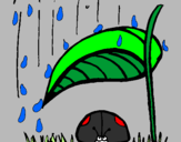 Desenho Joaninha protegida da chuva pintado por Ainesey