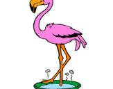 Desenho Flamingo com os pés de molho pintado por manuella