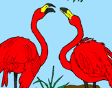 Desenho Flamengos pintado por Flamingo