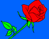 Desenho Rosa pintado por diana