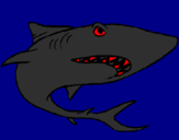 Desenho Tubarão pintado por lucas  f