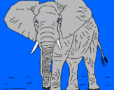 Desenho Elefante pintado por chelsea m...