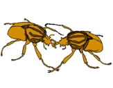Desenho Escaravelhos pintado por Besouro