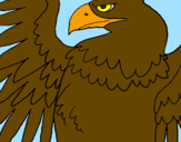 Desenho Águia Imperial Romana pintado por ybc