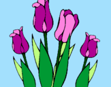 Desenho Tulipa pintado por flores mil