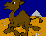 Desenho Camelo pintado por barbara