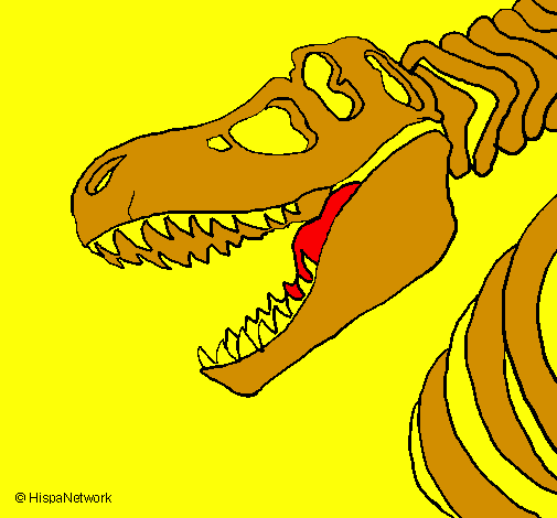 Desenho Esqueleto tiranossauro rex pintado por miguel silva